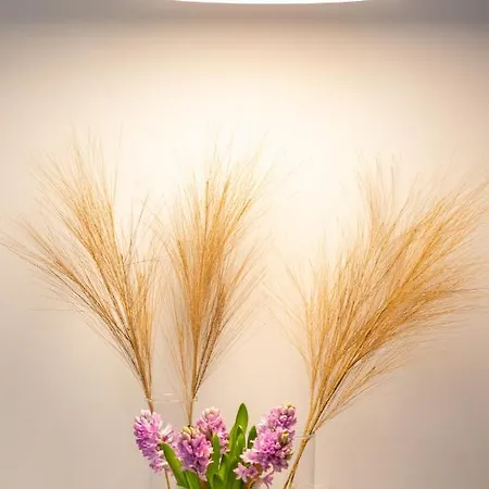 Apartment Baltic Marina Sauna & Fitness By Renters