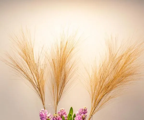 Apartament Baltic Marina Sauna & Fitness By Renters